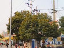 满五年大三房,钥匙房,永德路商圈,交通生活方便