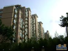 小区中间位置,双南全明两房,采光无遮挡