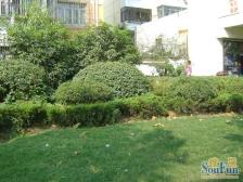 陆家嘴电梯房双卧室朝南采光