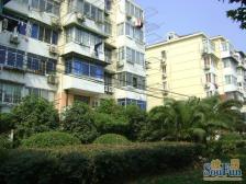 一梯两户,主卧朝南,交通便利,居家装修