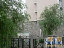 华光苑 3室2厅 南