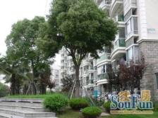 张江·丹芳苑·楼层好 电梯房 中医药书包 张集分