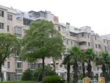 大开间,厨卫朝北,品质小区,繁华地段