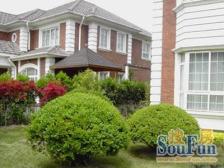 位置佳+有车库+此房手续齐全+好花园+格局好+无遮挡