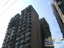 民主花园2室1厅南北