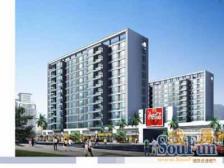 近地铁,双轨交,采光好,视野开阔,无需购房资格