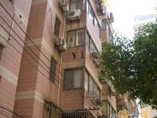 内环近3/4/7镇坪路站350米+电梯板楼+低单价+配套全!