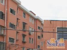 颠覆想象的精装典藏,错过再无的顶配人生!