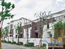 双拼边套别墅 大花园 带地下室 花园 看中好谈