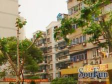民京路838弄 3室1厅 南