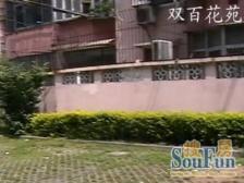 背靠共青森林公园+未来20号线直达