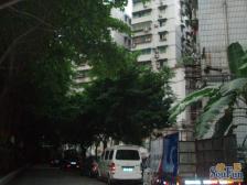 龙溪镇 金楼小区三房65万