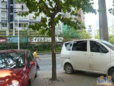 上新街 轻轨旁 加装电梯大二房 中装 拎包入住