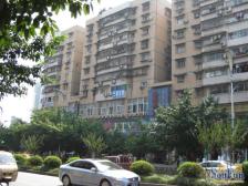 龙溪镇 松石大道三房50.8万