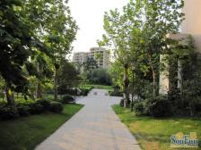 加州新牌坊 东和院三房151.4万