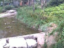 冉家坝 橄榄郡七房195万