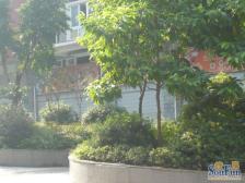 上新山水 2室1厅 南