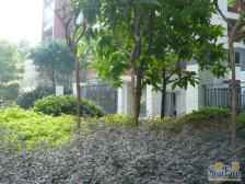 双地铁成熟小区上新山水 看江 精装 拎包入住