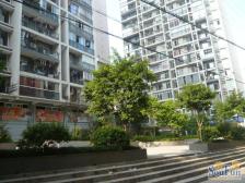 上新山水 2室1厅 南 西南