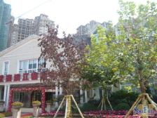 南滨路 武夷滨江三期(阅江山)三房157万