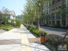 一线看江的洋房!南滨路住家精装四房,提包入住!