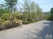 江景房,看下江,来福士,交通方便,双规换乘