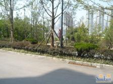 南滨路看江,居家安静 出行方便双轨道,龙门浩老街