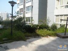 南坪 东东摩 种业小区清水大四房 交通便利