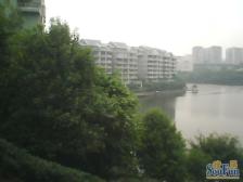 大露台带80平花园,视野好看看湖,轨道9号线旁三房