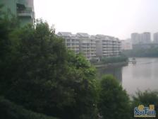 回兴 丽源岛三房120万