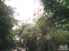 业主诚心出售 湖景视野 居家适宜 离九号 三号线近