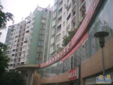 坐在家里看湖宽敞大两房大楼台业主低价出售。