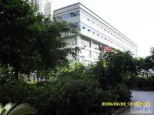 冉家坝妇幼保健院旁绿苑小区精品4房生活交通方便