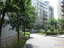 大石坝 石油佳苑五房137万