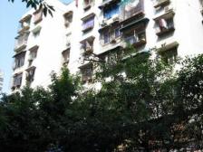 龙溪镇 松石南路小区二房50万