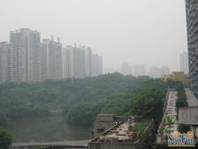 加州新牌坊 馨蒂丽苑一房49万