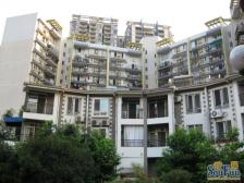 冉家坝、城中间的别墅,业主诚心卖