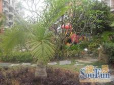 产权清晰.产权单人.房屋无抵押.证件已齐全