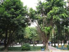 南桥寺 华渝西苑四房118万