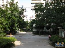 龙溪镇 金岛花园三房