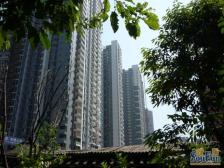 冉家坝 圣地阳光二房102万