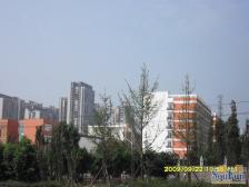 冉家坝地铁口正规一室一厅性价比高