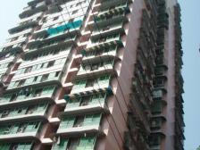 花卉园 松桥大厦四房