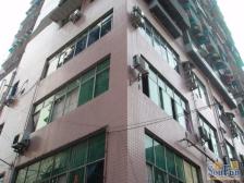 花卉园 松桥大厦四房