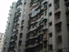 加州新牌坊 松树桥大厦三房98万