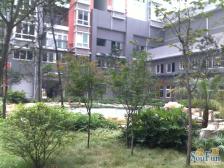 冉家坝 香草天空一房63万