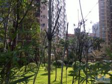 紧挨冉家坝复式精装三室双卫急售急售