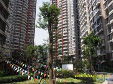 冉家坝 阳光地中海三房