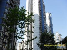 冉家坝 逸静丰豪一房72万