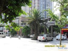 冉家坝 逸静丰豪五房255万